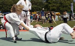 Image result for Brighton Judo Club