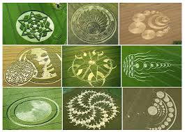 Image result for crop circles