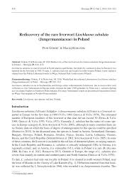 Attēlu rezultāti vaicājumam “Jungermannia subulata”