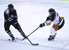 Image result for Streatham Night Wolves Ice Hockey Team