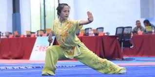Image result for WUQI KUNG FU AND HEALTH SOCIETY