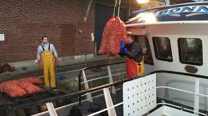 Image result for Suffolk Coastal Floaters