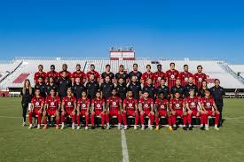 Image result for Phoenix Royals F C