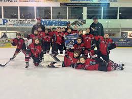 Image result for Swan`s Hockey Club