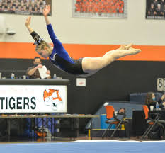 Image result for Sankey Springers Gymnastics Club