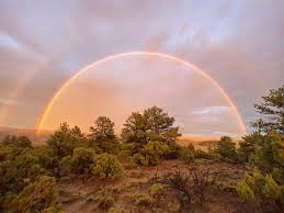 Attēlu rezultāti vaicājumam “Red Rainbows”
