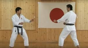 Image result for Junsui Shotokan Karate Do