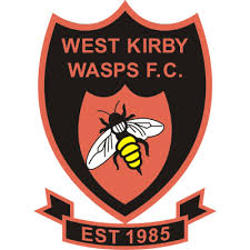 Image result for Wasps Football Club