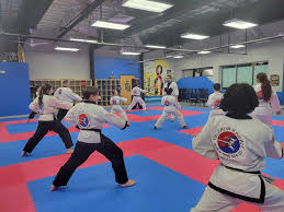Image result for Valentin Karate