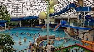 Image result for Swindon Amateur Swimming Club