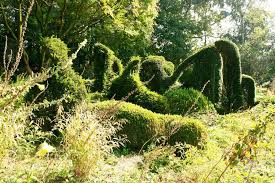 Image result for Priona Tuinen