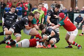 Image result for Ards Rugby Football Club