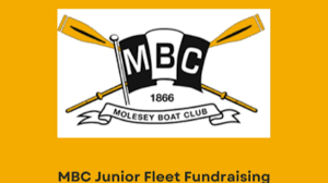 Image result for Molesey Boat Club