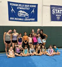 Image result for Vernon Park Gymnastics
