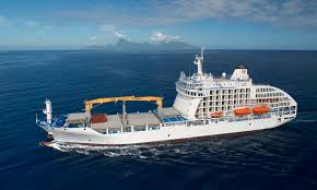 Attēlu rezultāti vaicājumam “Aranei exuvia”