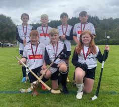Image result for Lovat Shinty Club