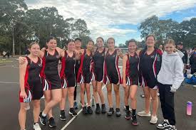 Image result for Willenhall Town Wanderers Netball Club
