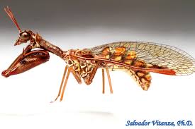 Attēlu rezultāti vaicājumam “Neuroptera”