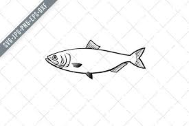 Image result for Alosa aestivalis