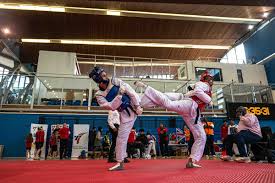 Image result for ENGLISH INTERNATIONAL ALLSTYLES TAEKWONDO