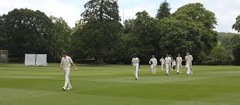 Image result for Almeley Cricket Club