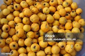 Attēlu rezultāti vaicājumam “Crataegus macracantha fruit”