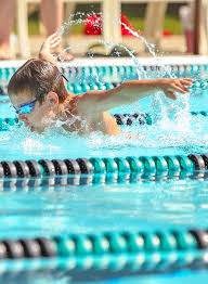 Image result for Dearne Valley Swimming Club