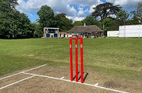 Image result for Biddenham Cricket Club