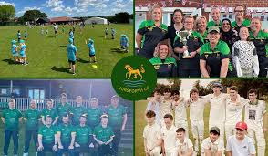 Image result for Horsforth Cc
