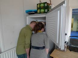 Image result for 241543903