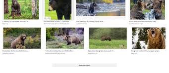 Image result for tbn<img src=