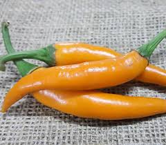 Afbeeldingsresultaat voor thai yellow hot pepper