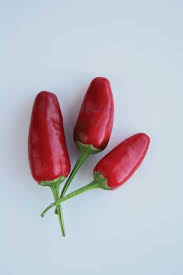 Afbeeldingsresultaat voor chili maya hot pepper hot pepper