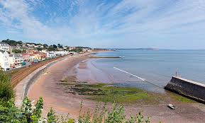 Image result for Dawlish Sc