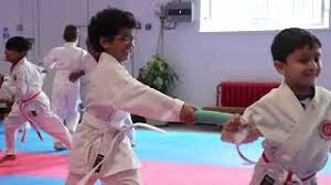 Image result for Zen Shin Seicho Do Adult Karate