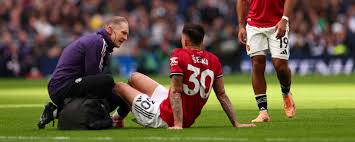 Image result for Manunitid