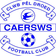 Image result for Caersws Quoits Club