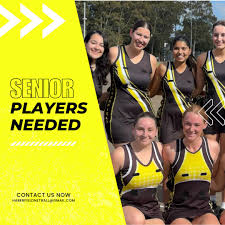 Image result for Hn Ladies Netball Club