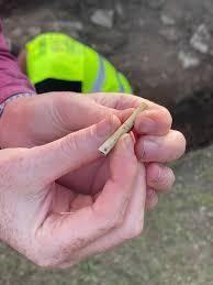 Image result for Great Torrington Bowling Club