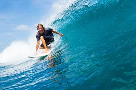 Image result for York University Surf Club
