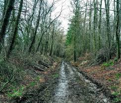 Image result for Annbank Angling Club