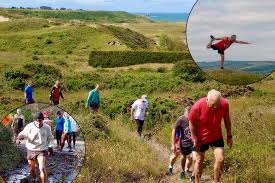 Image result for Billingham Marsh House Harriers