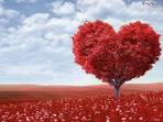 Love Wallpapers, Love Pictures, HD Wallpapers | Top HD Wallpapers