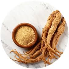 Attēlu rezultāti vaicājumam “Angelica archangelica fruit”