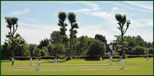 Image result for LITTLE GADDESDEN CRICKET CLUB