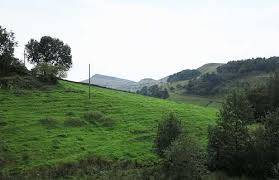 Image result for Hayfield Cricket Club