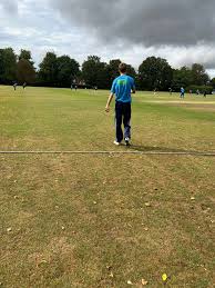 Image result for Hadleigh Cricket Club