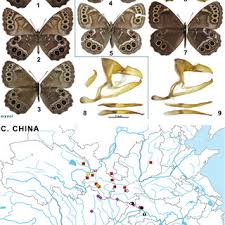 Attēlu rezultāti vaicājumam “Lopinga achine underside”