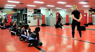 Image result for Somerset Nomads Badminton Club