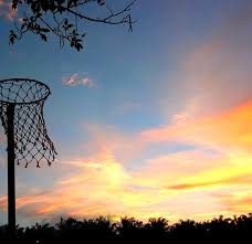 Image result for Sydenham Ladies Netball Club